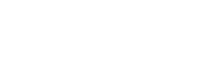 Dashspert Logo